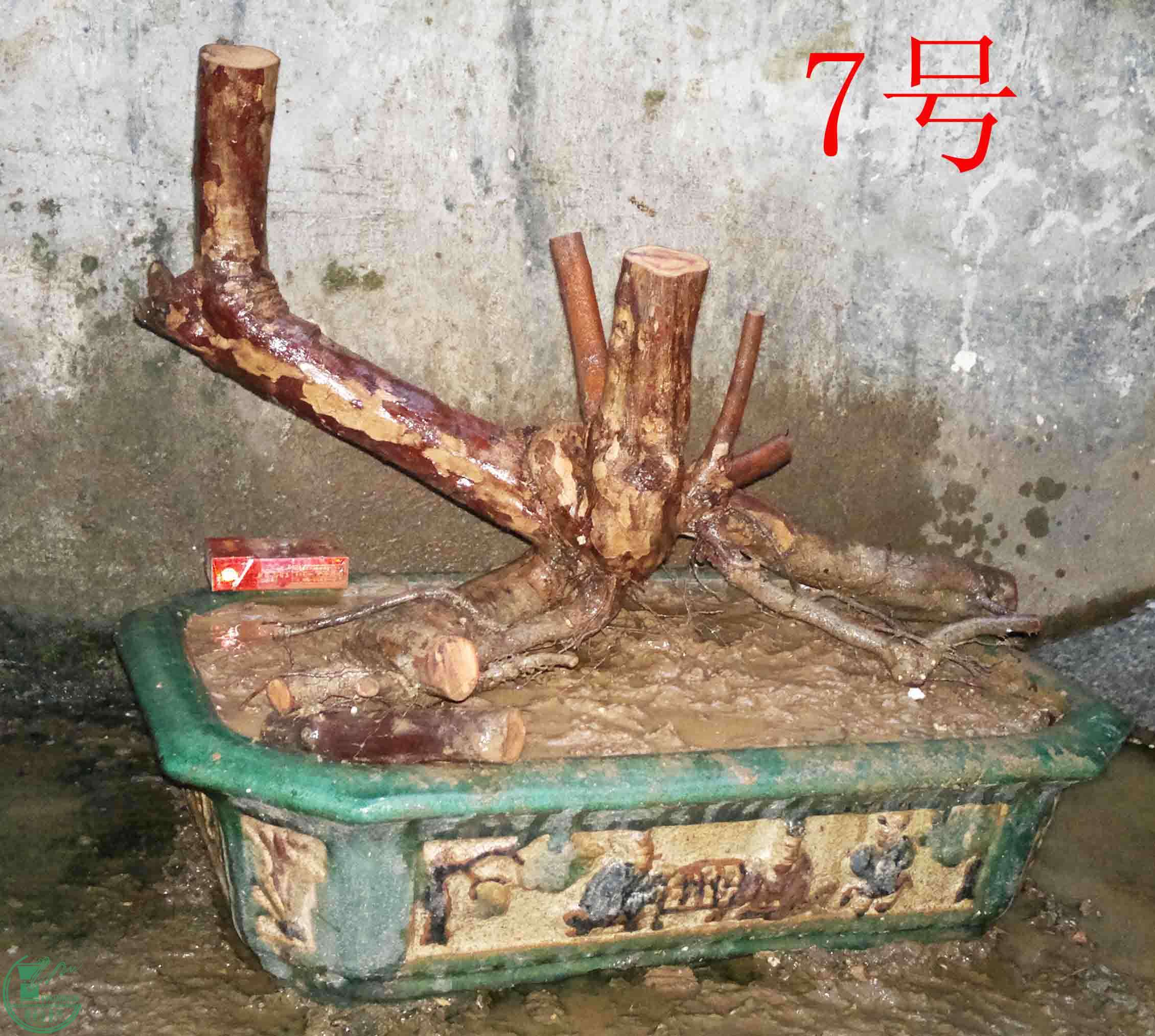 2016022611010.jpg