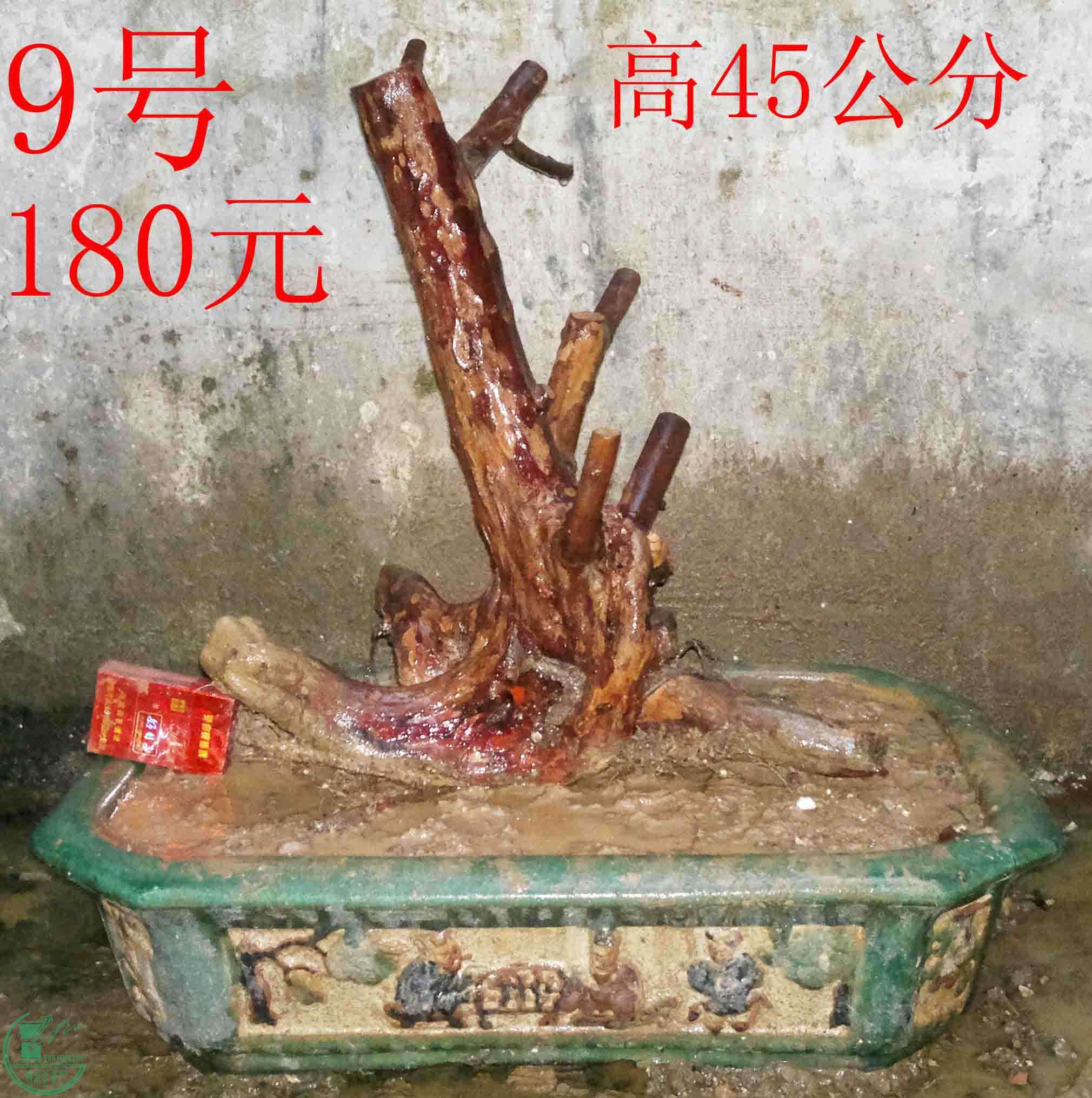 2016022611021.jpg