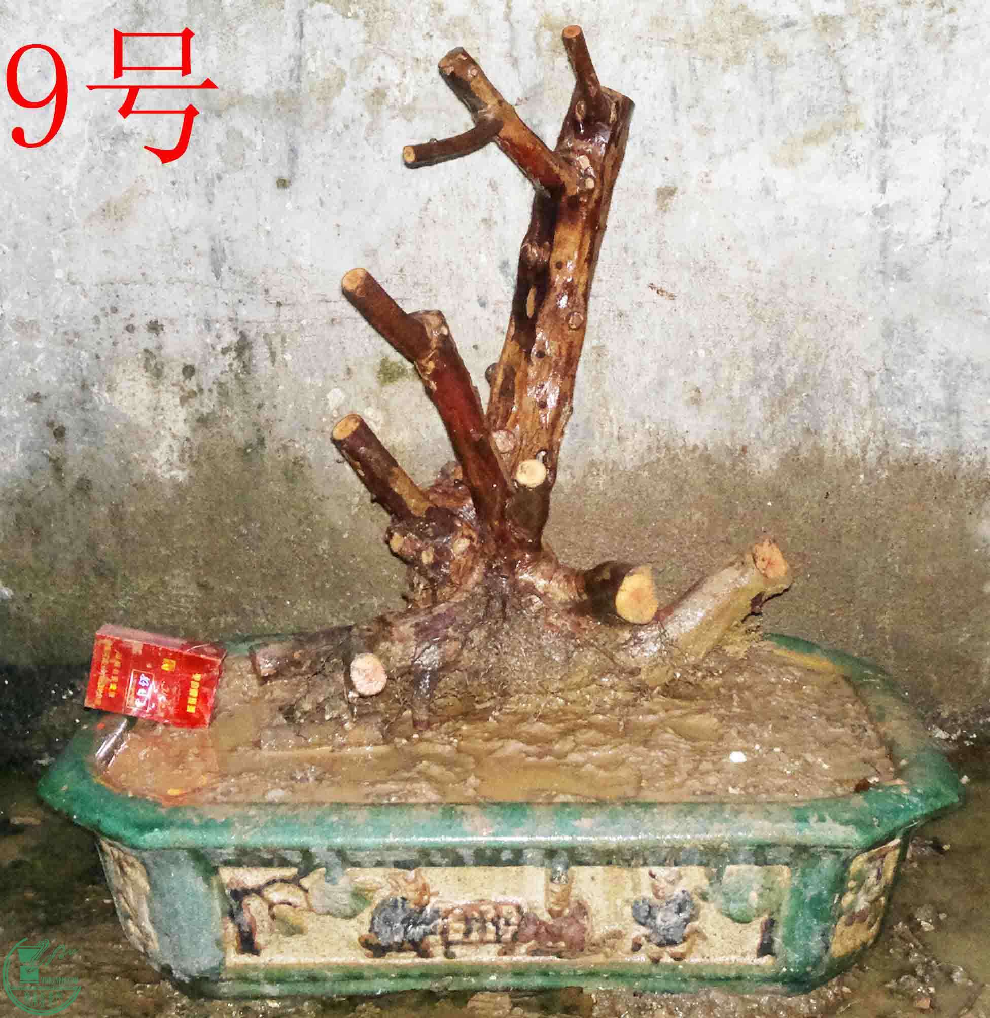 2016022611033.jpg