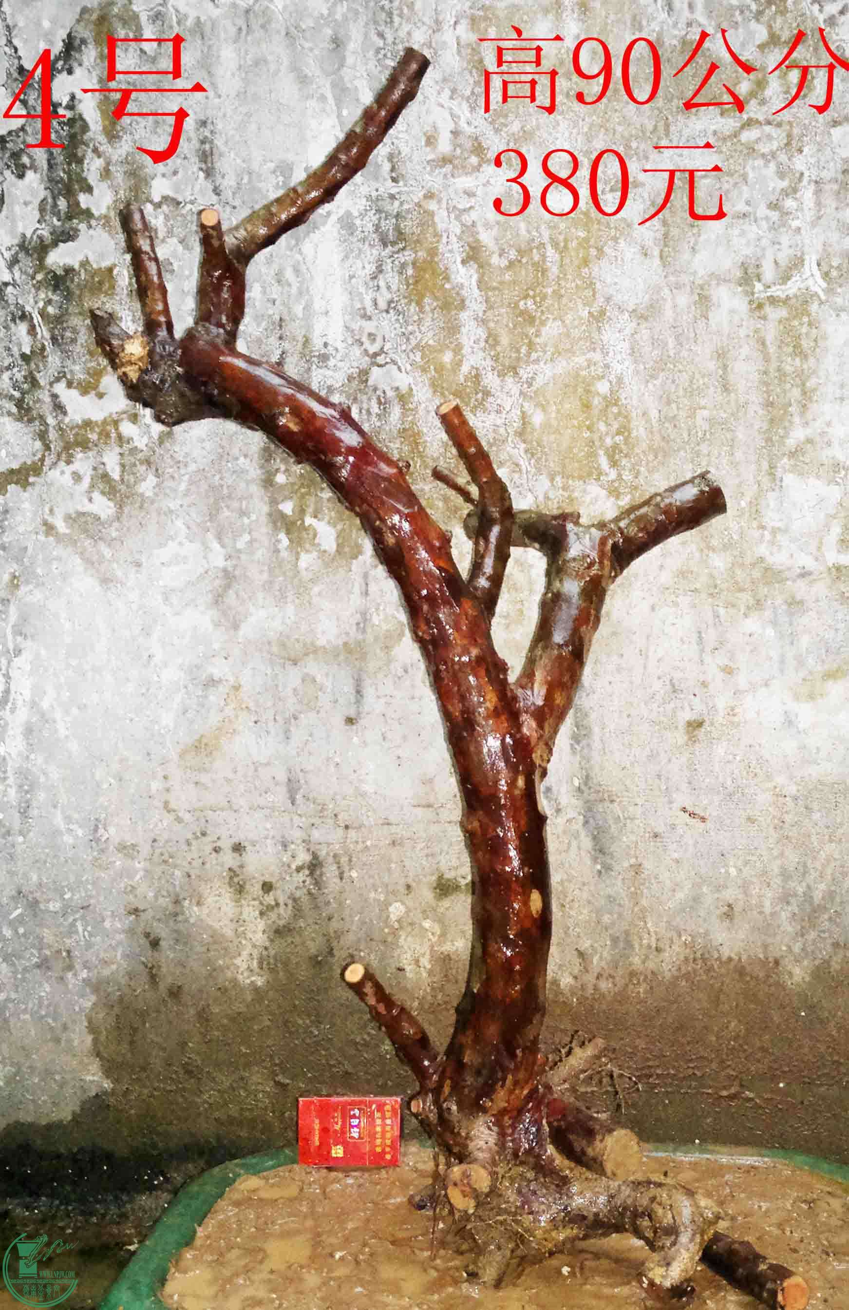 004.jpg