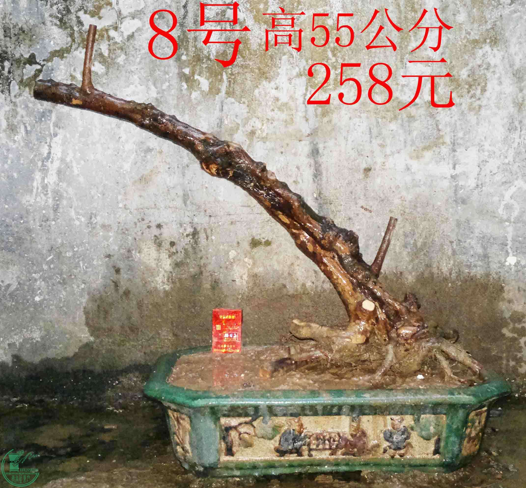 008.jpg