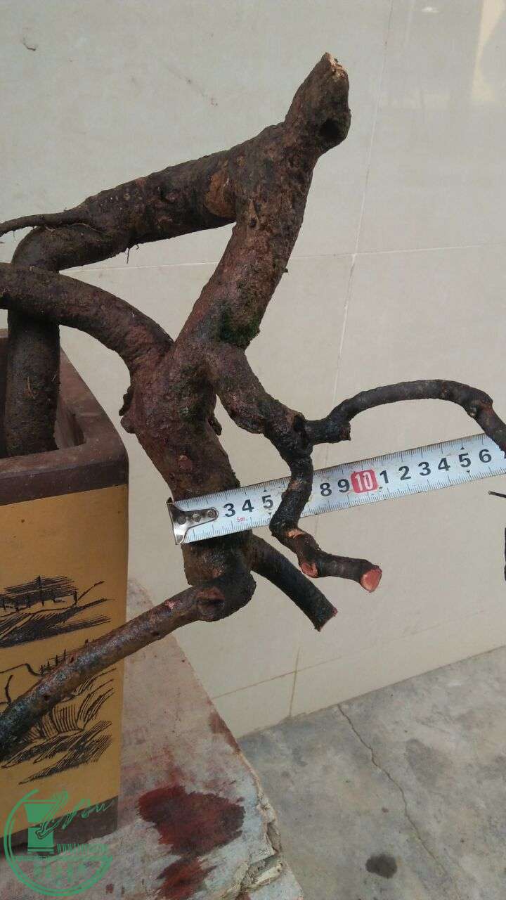 QQͼƬ20160227191454.jpg