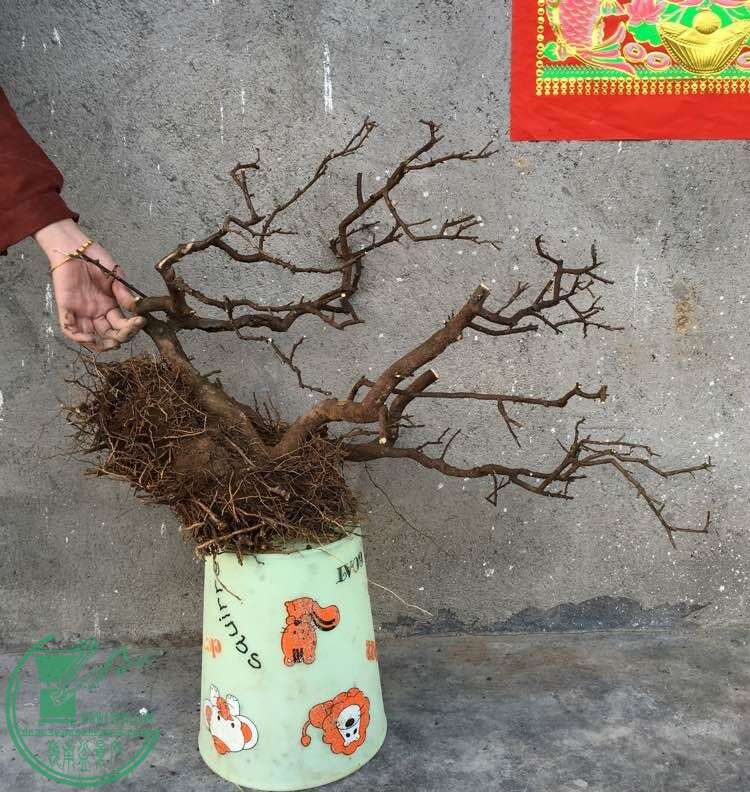 QQͼƬ20160227201326.jpg