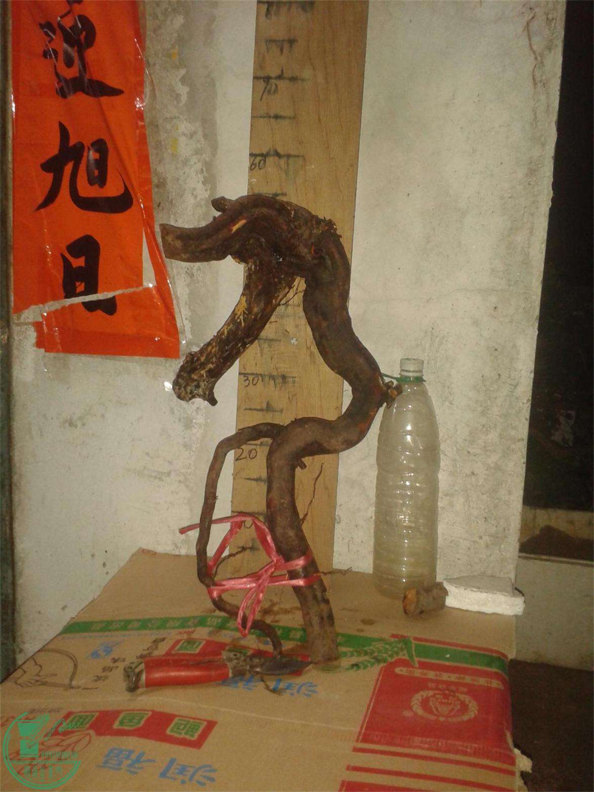 20160226_210721.jpg