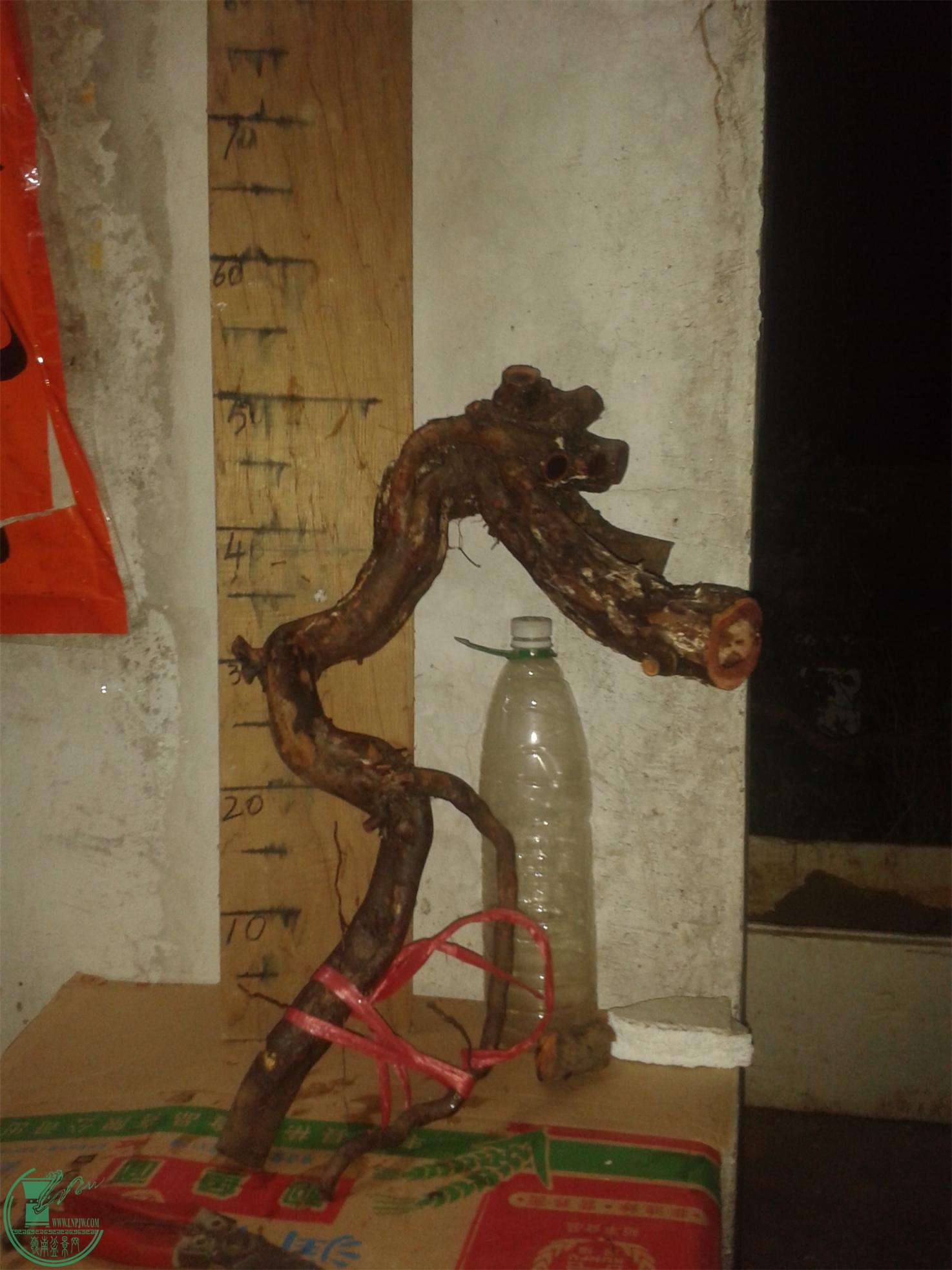 20160226_210756.jpg