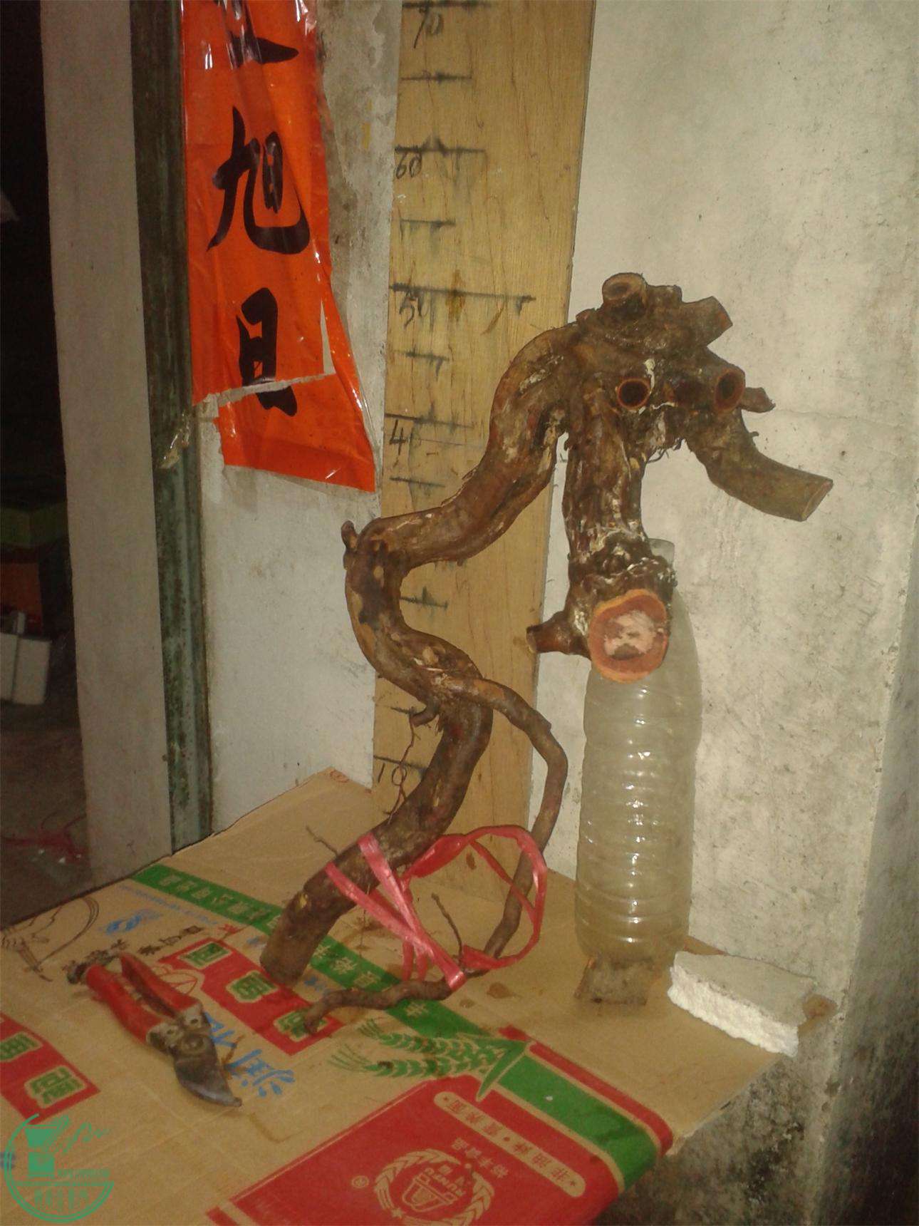 20160226_210807.jpg