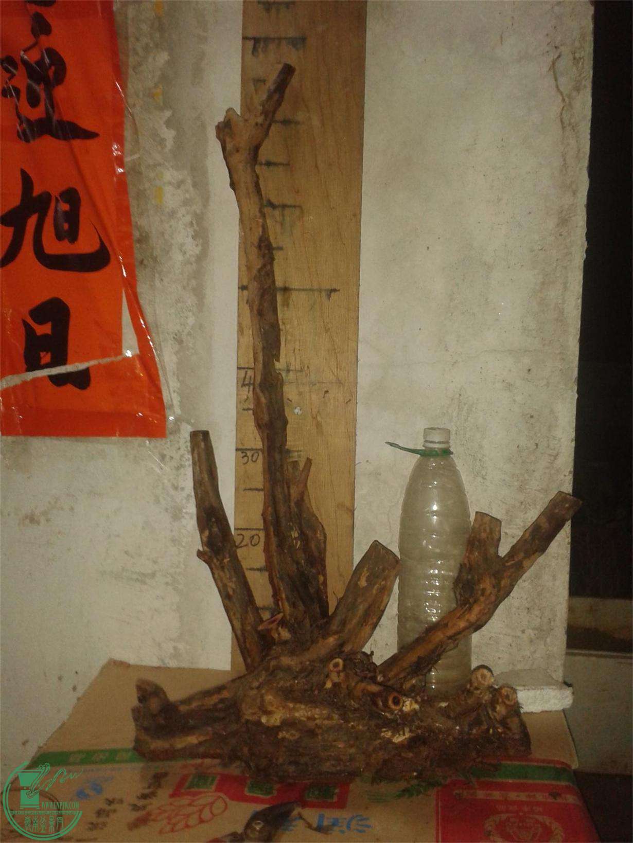 20160226_211547.jpg