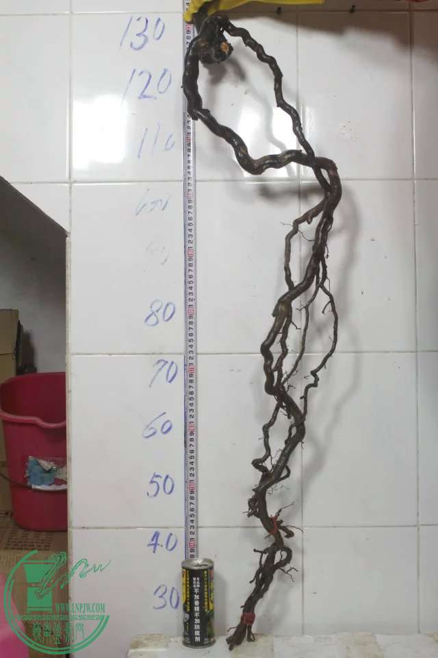 psb (4).jpg
