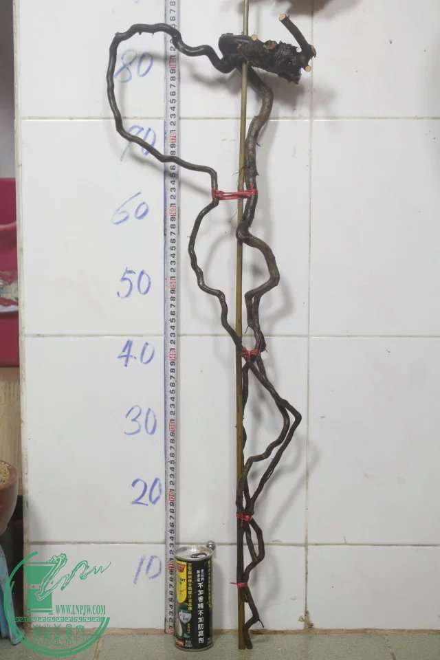 psb (9).jpg