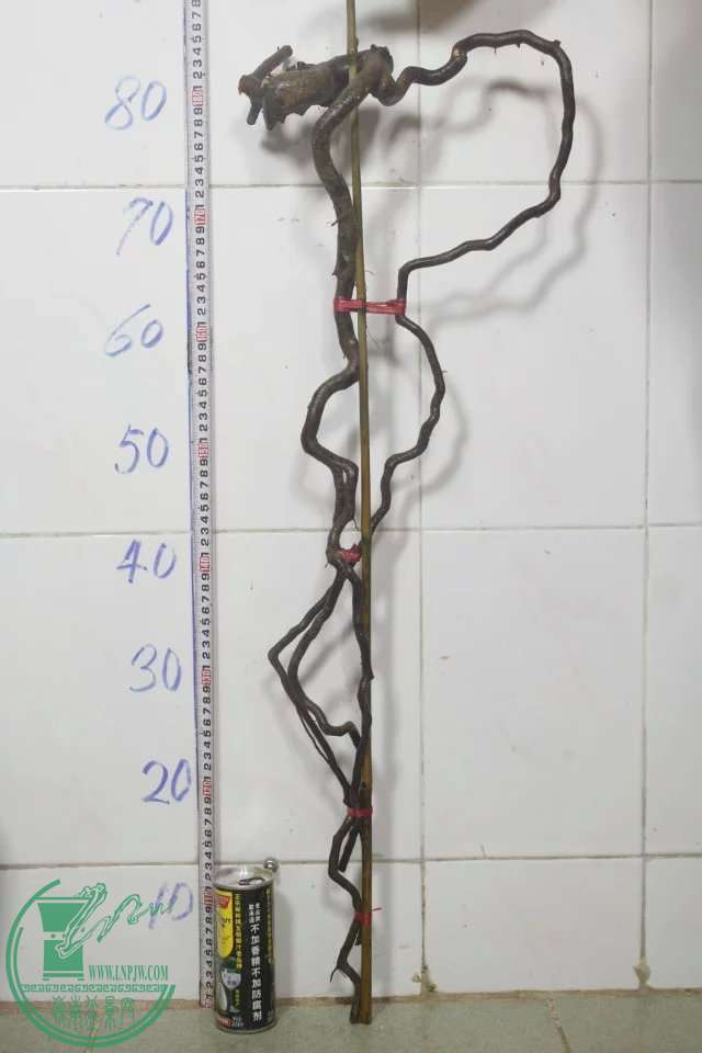psb (10).jpg