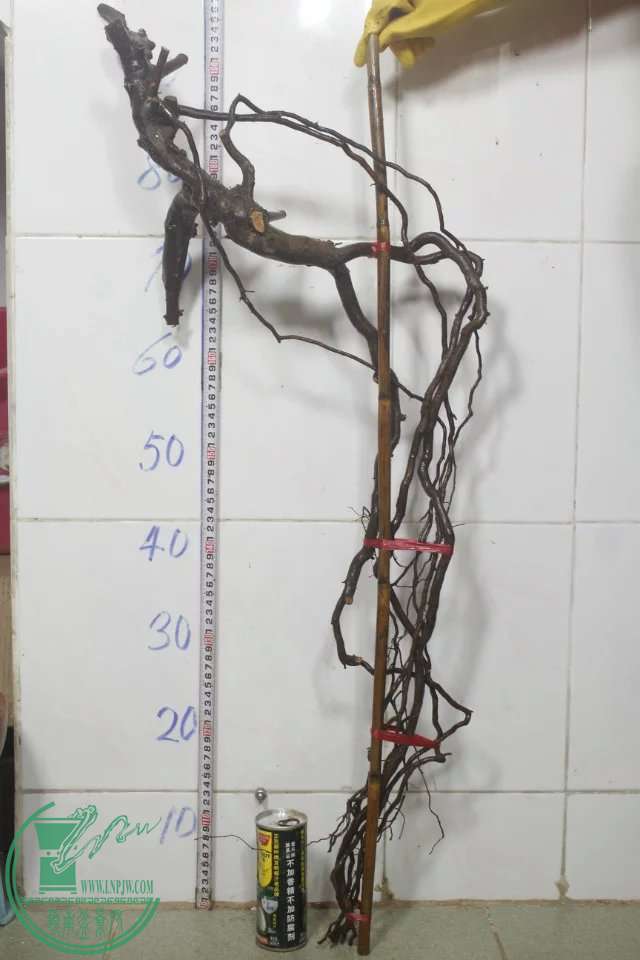 psb (12).jpg
