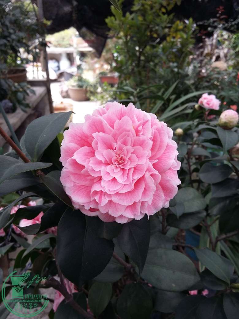 20160218_124350_.jpg