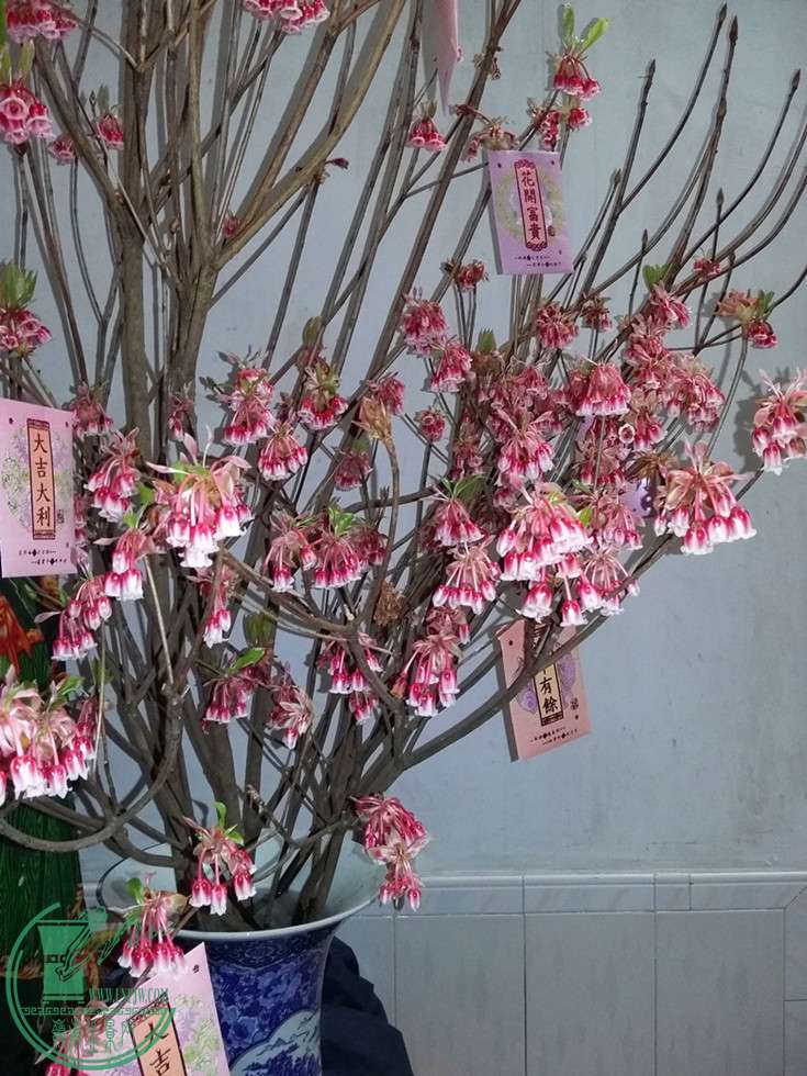 20160223_130712___.jpg