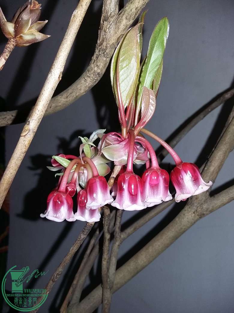 20160223_130633_.jpg