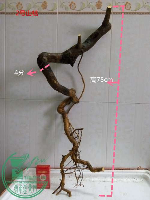 P60228-175527_.jpg