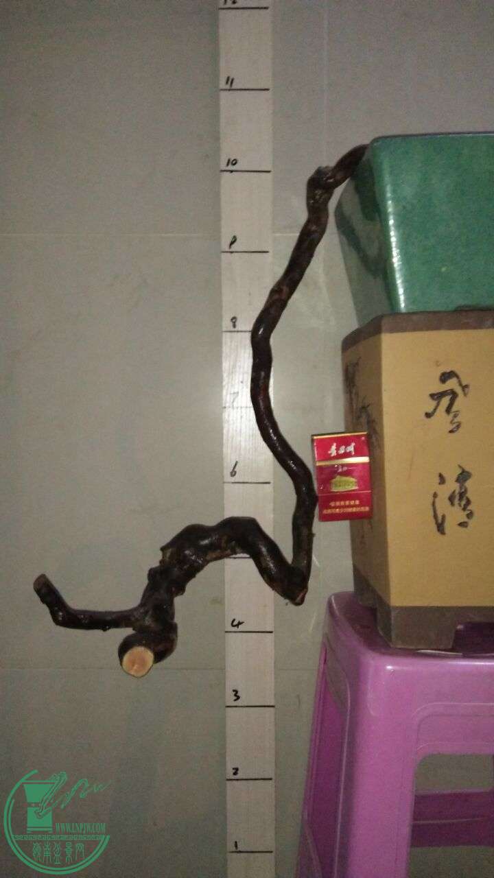 QQͼƬ20160228195324.jpg