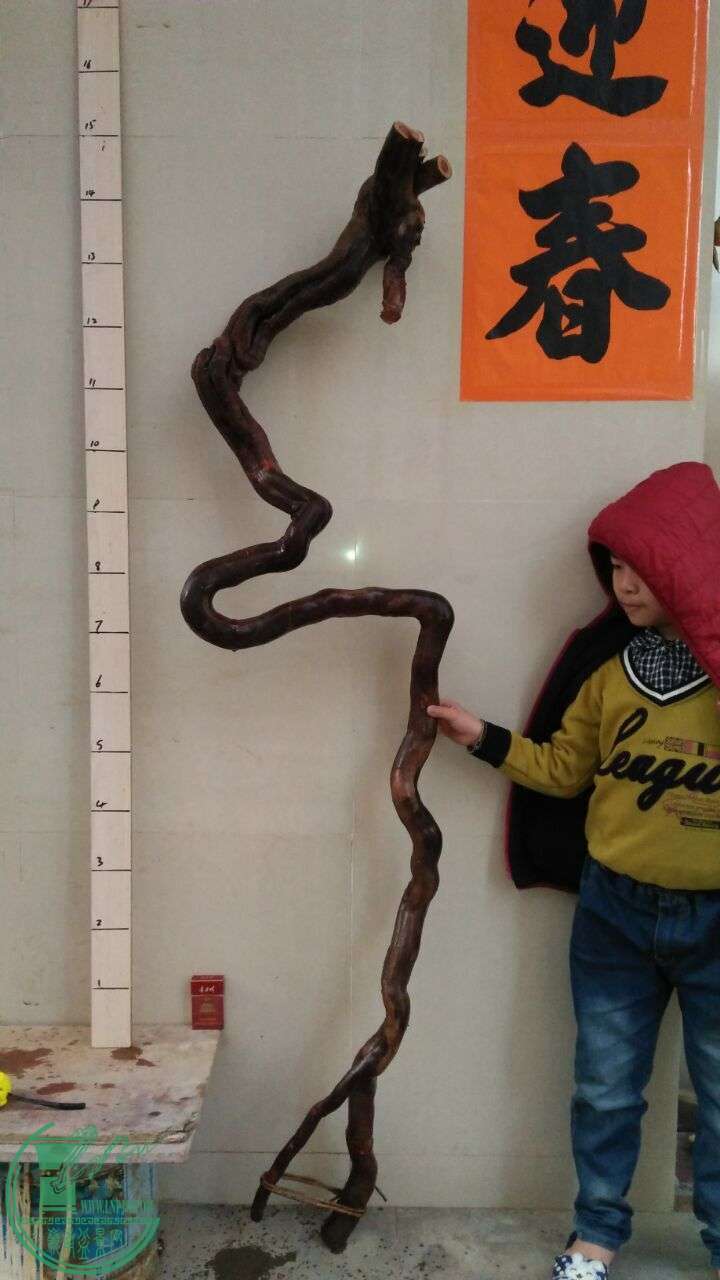 QQͼƬ20160228191306.jpg