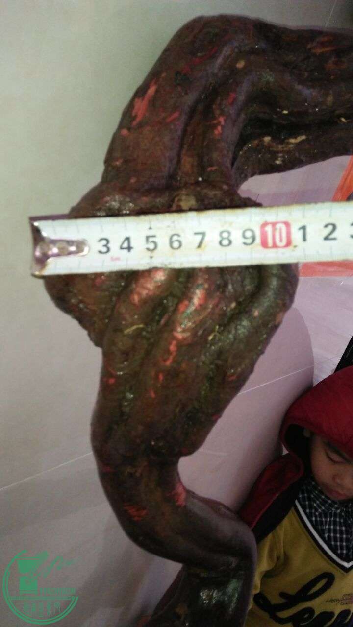 QQͼƬ20160228191325.jpg