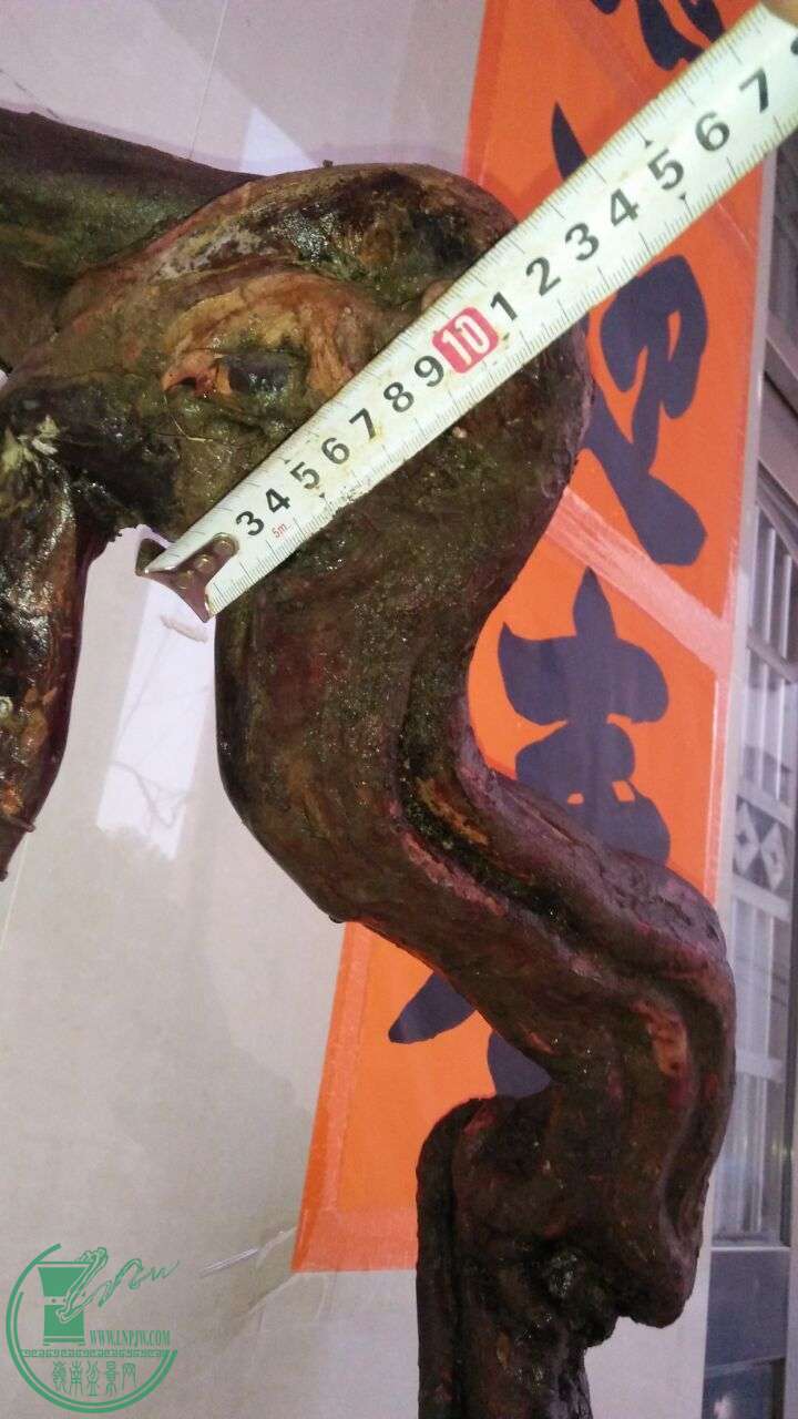 QQͼƬ20160228191314.jpg