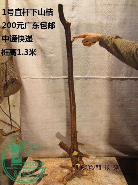 QQͼƬ20160228200822.jpg