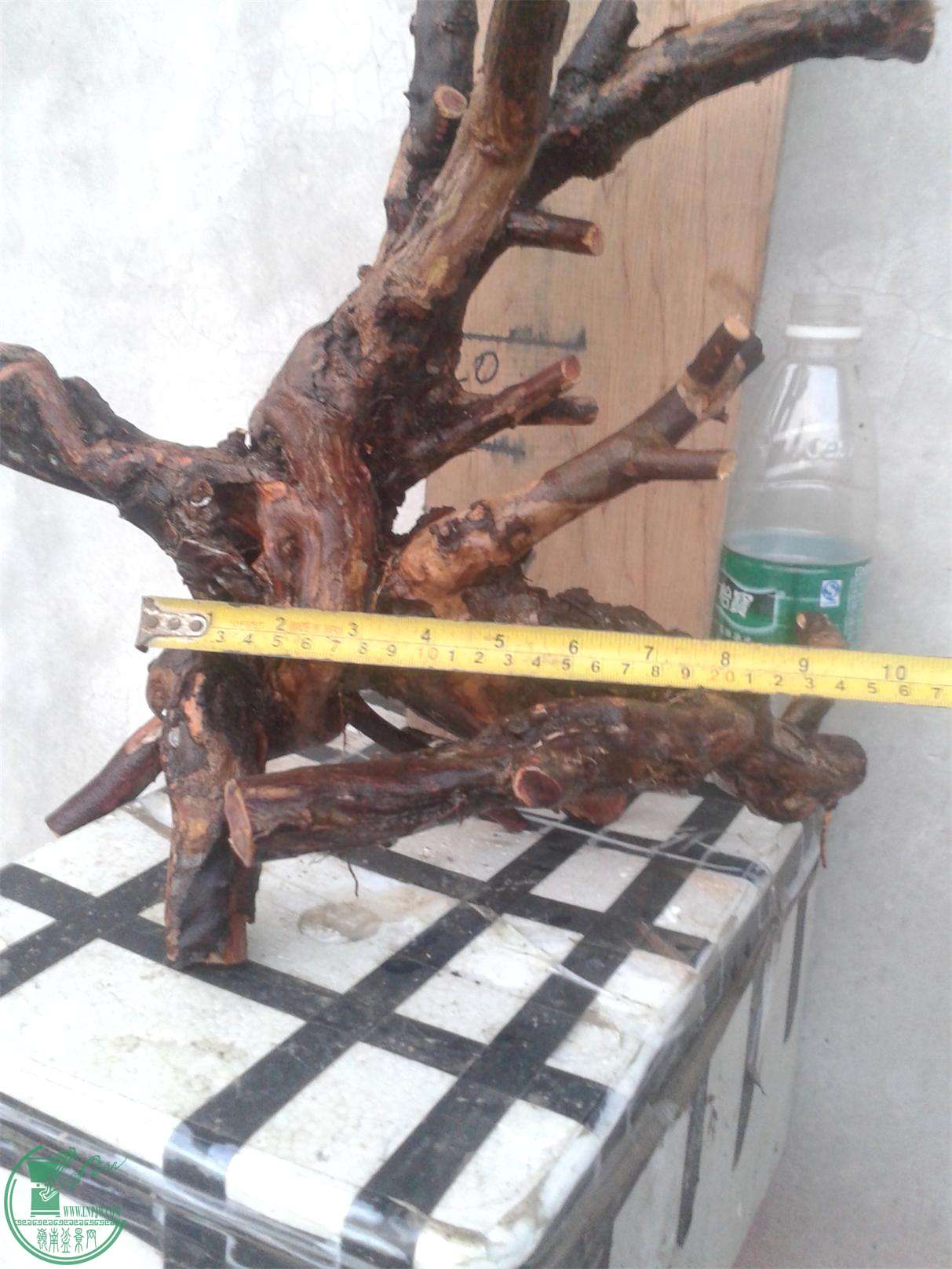 20160228_183316.jpg