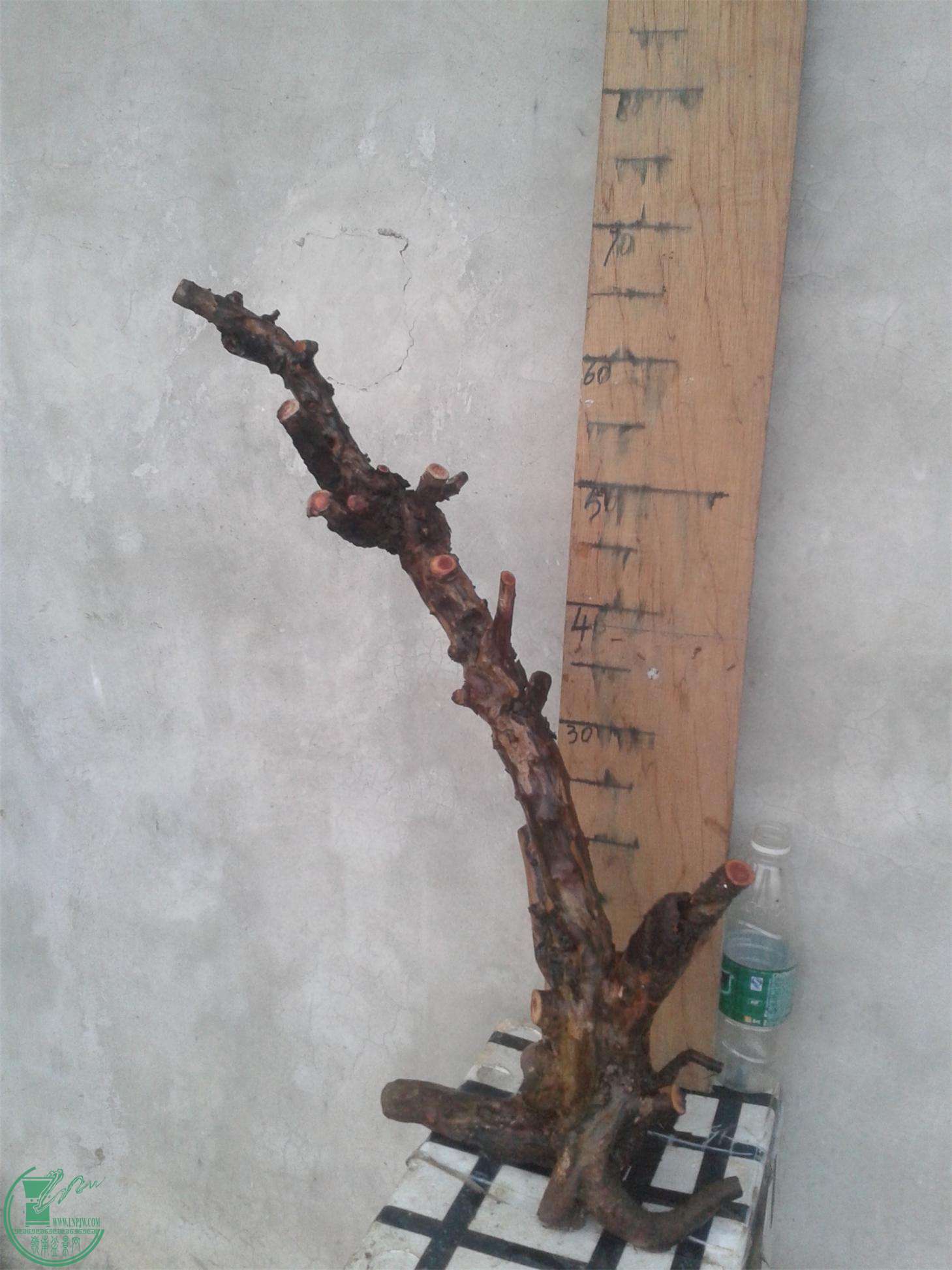 20160228_183458.jpg