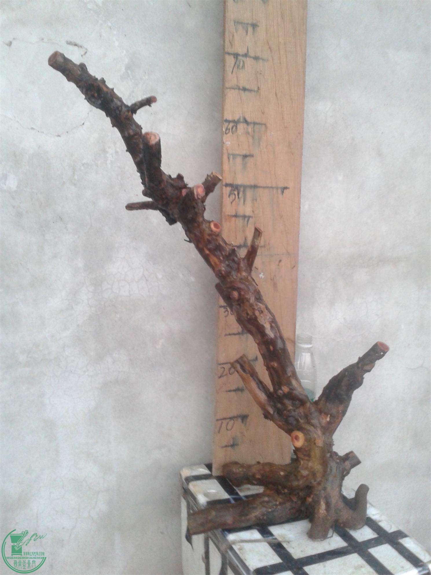 20160228_183507.jpg