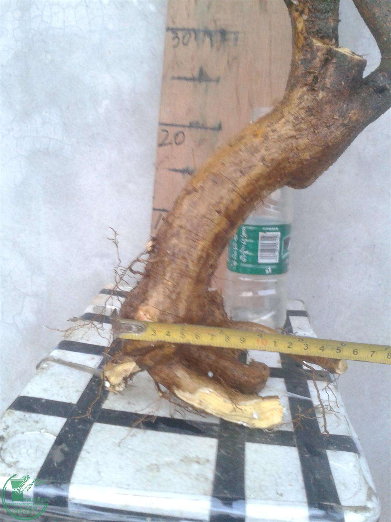 20160228_183647.jpg