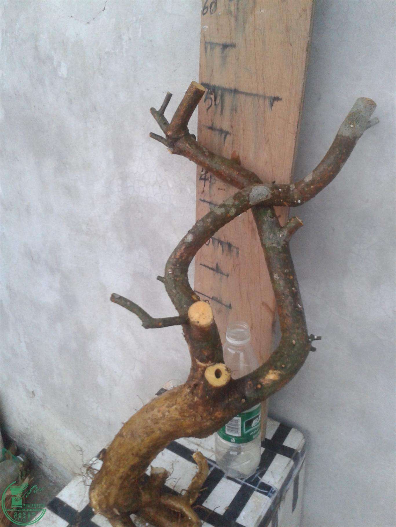20160228_183658.jpg