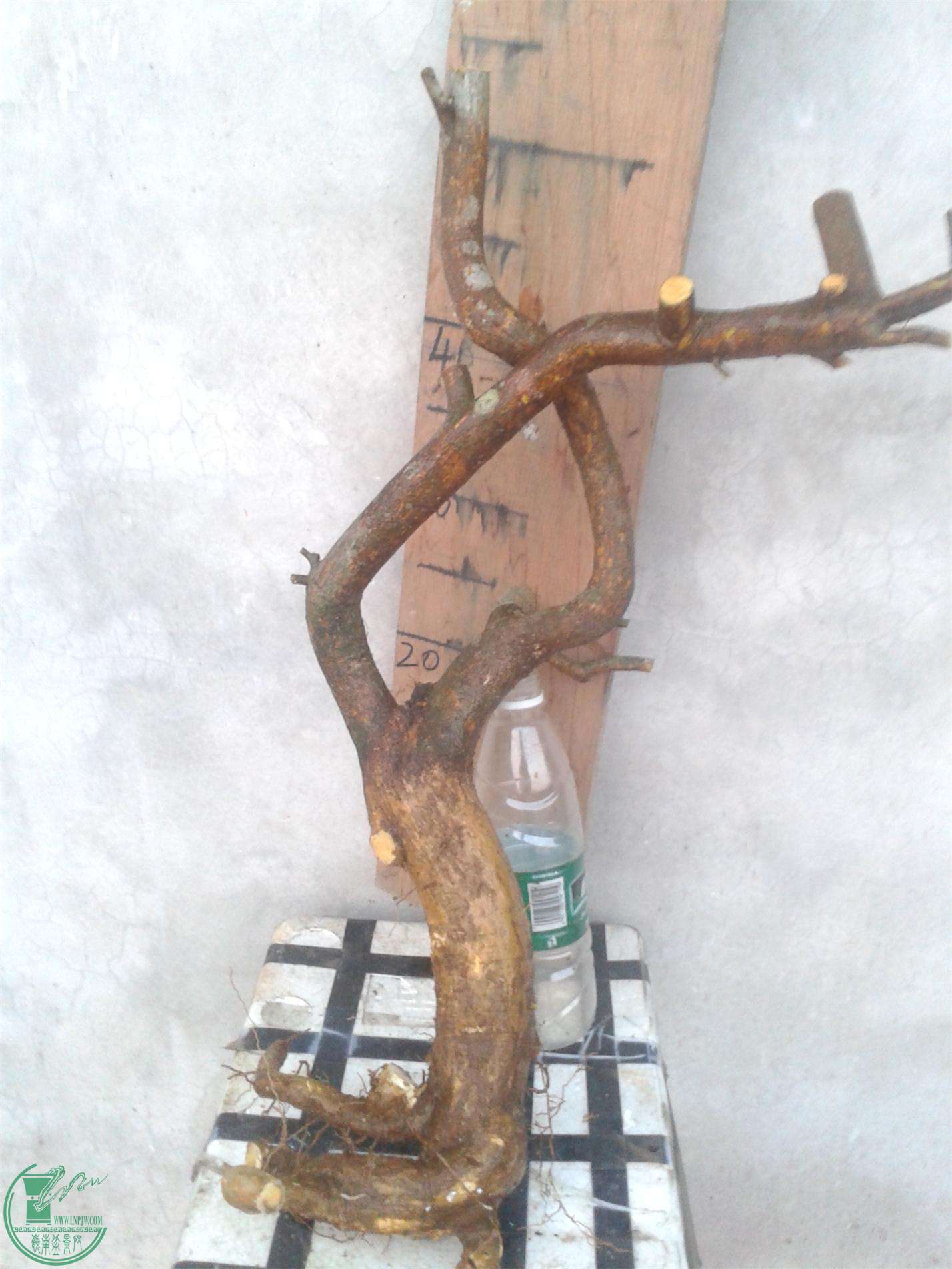 20160228_183708.jpg