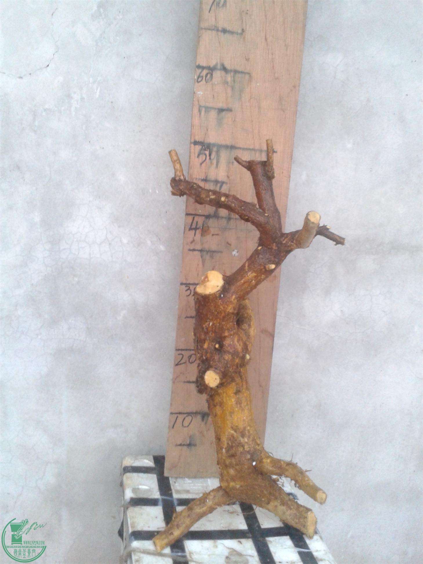 20160228_183754.jpg