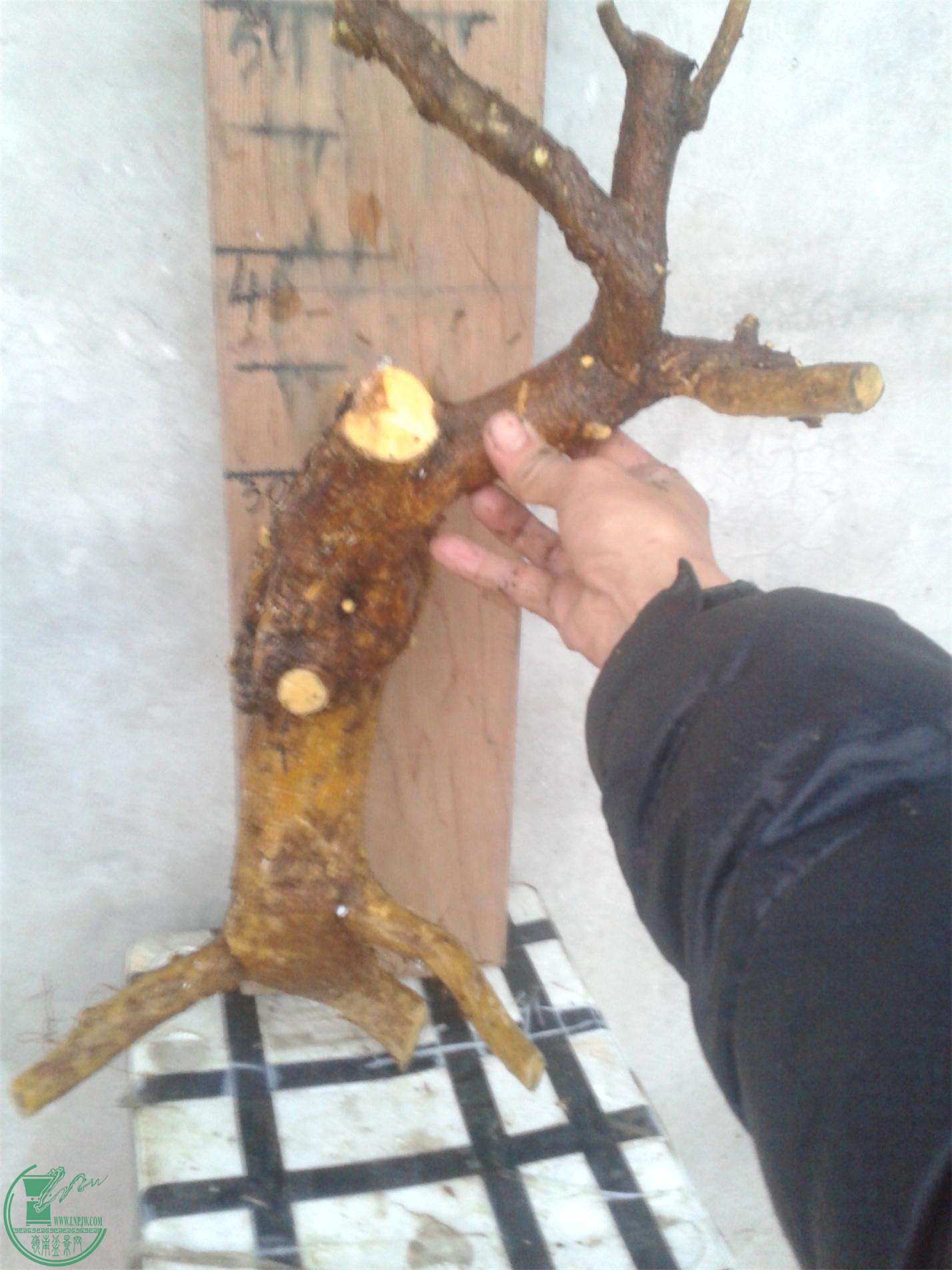 20160228_183805.jpg