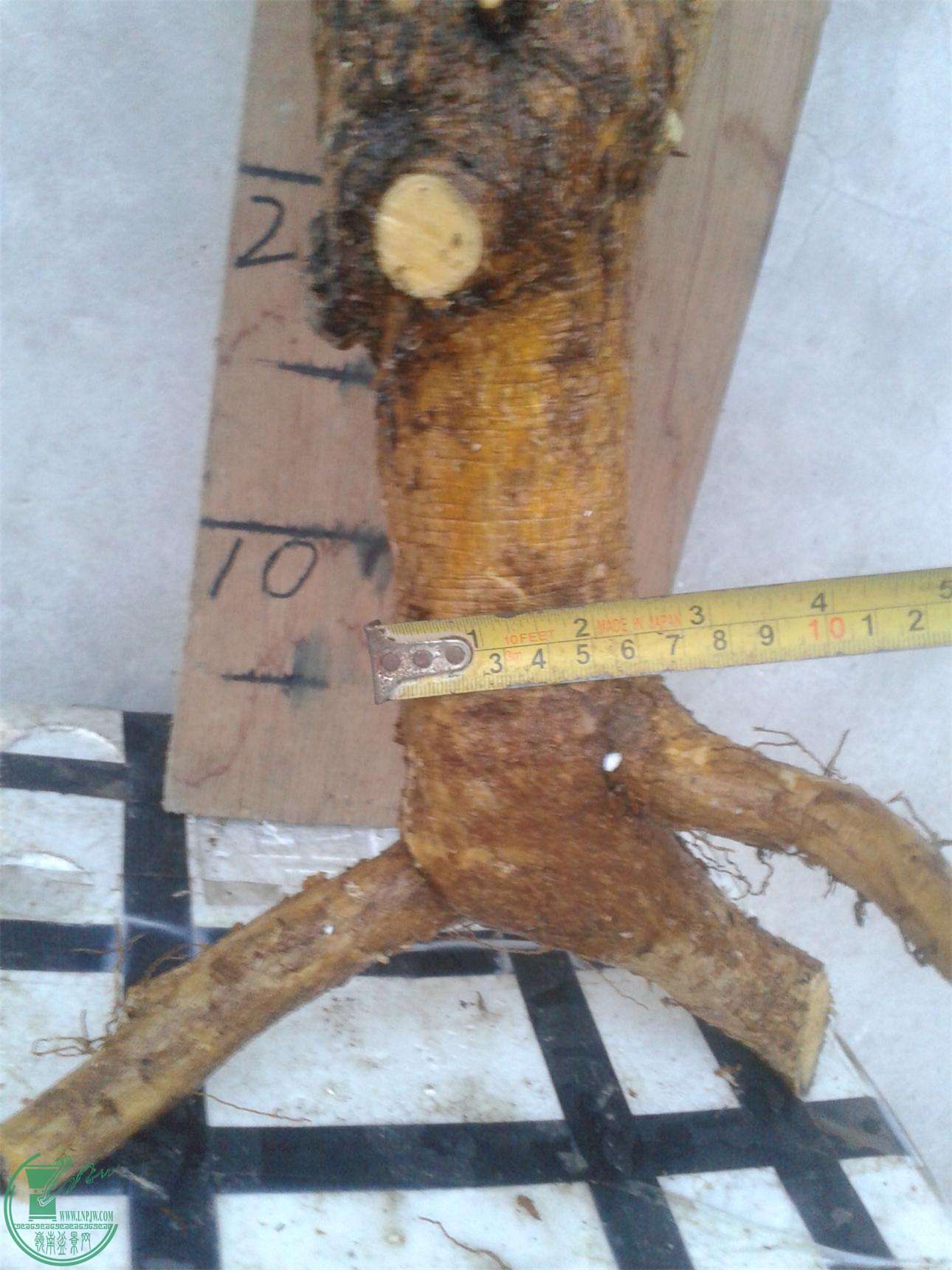 20160228_183819.jpg