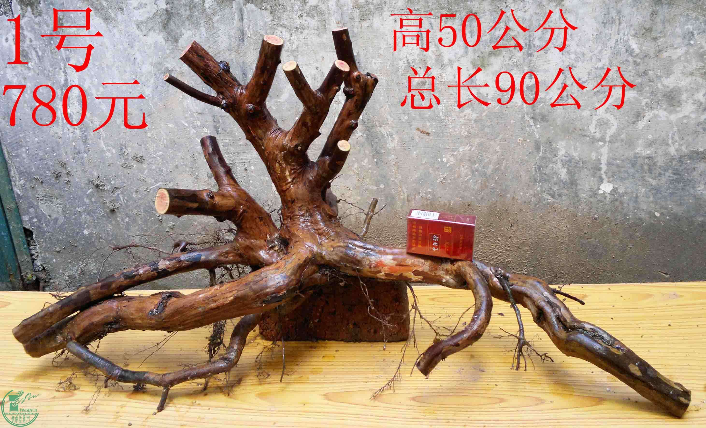 2016022811045.jpg