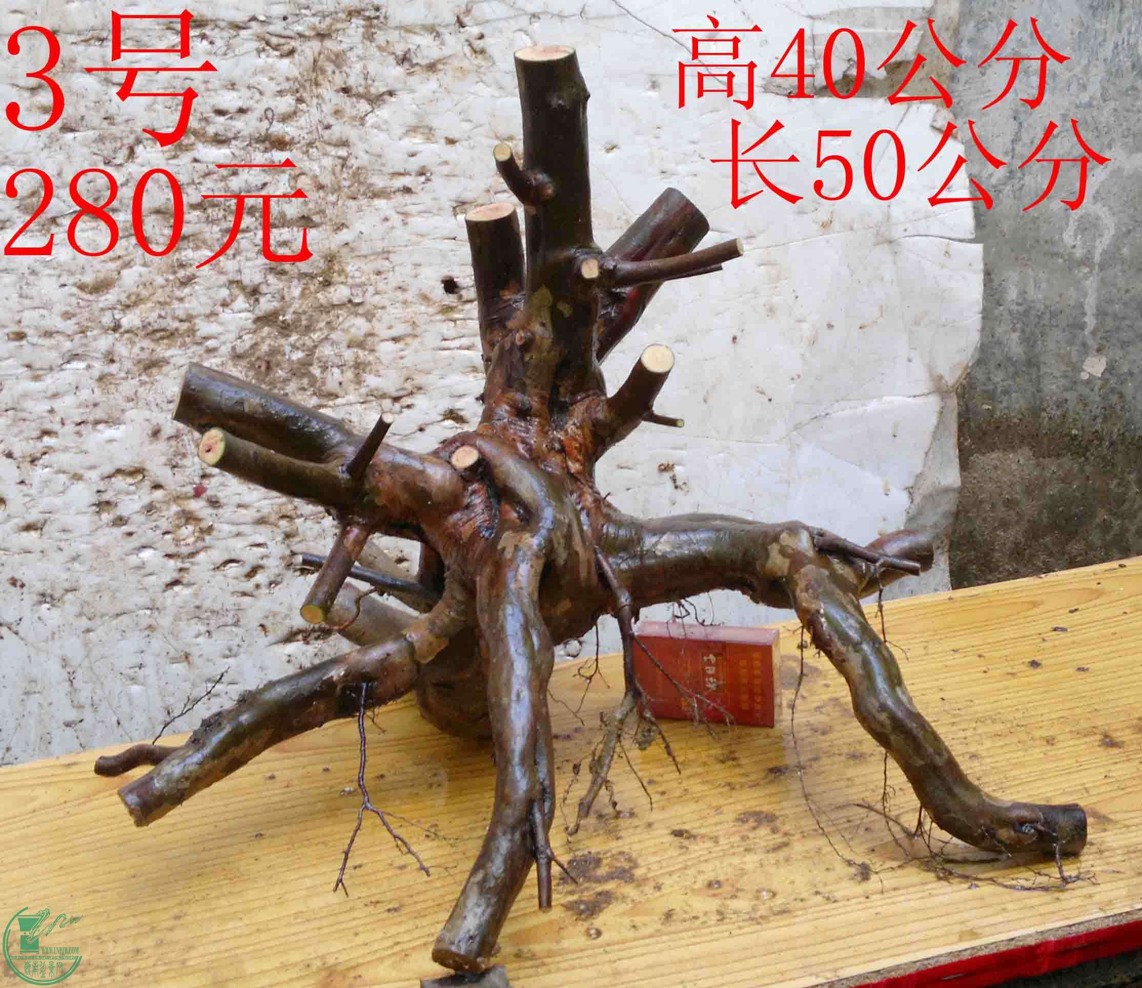 2016022811099.jpg
