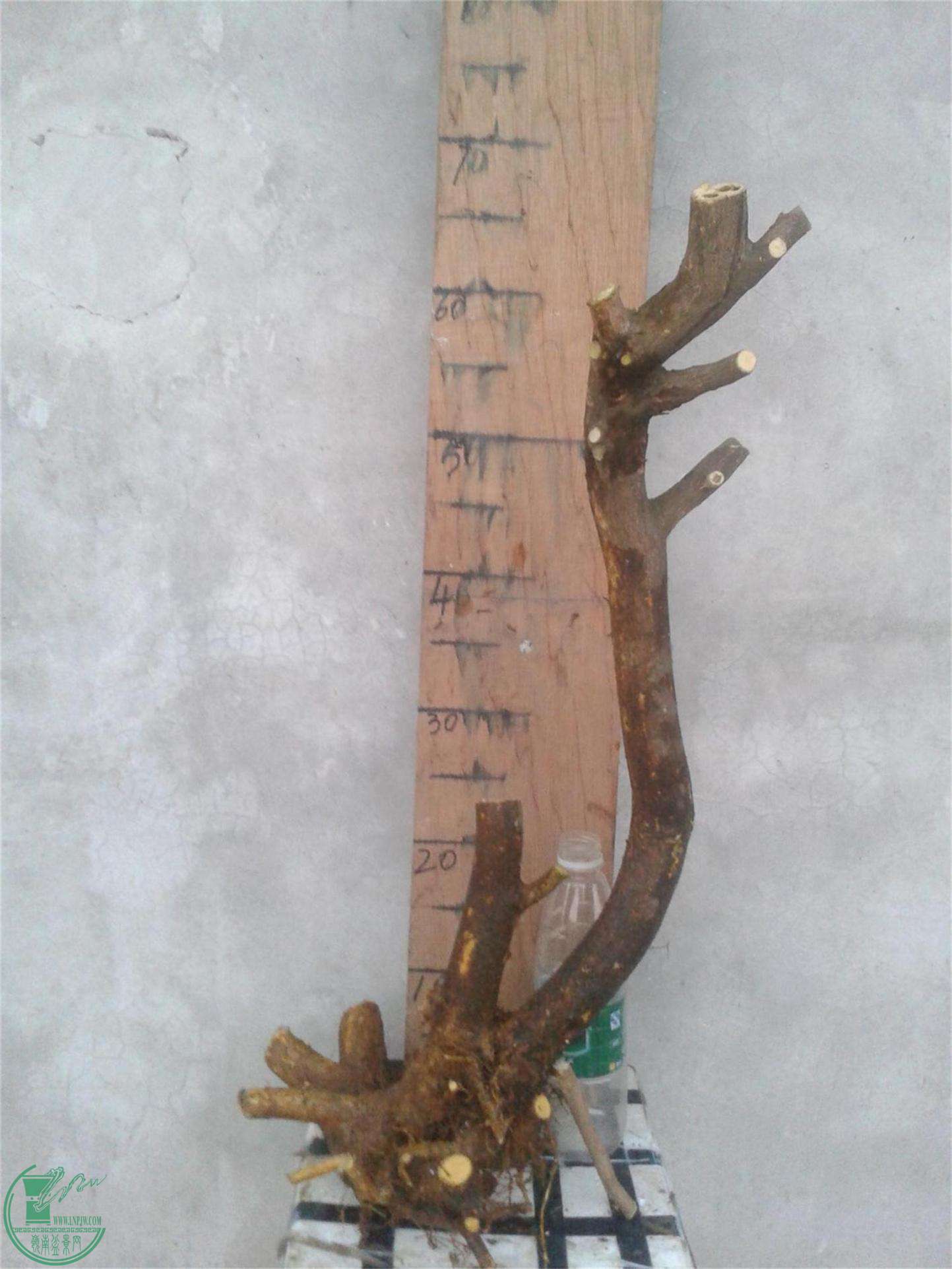 20160228_183943.jpg