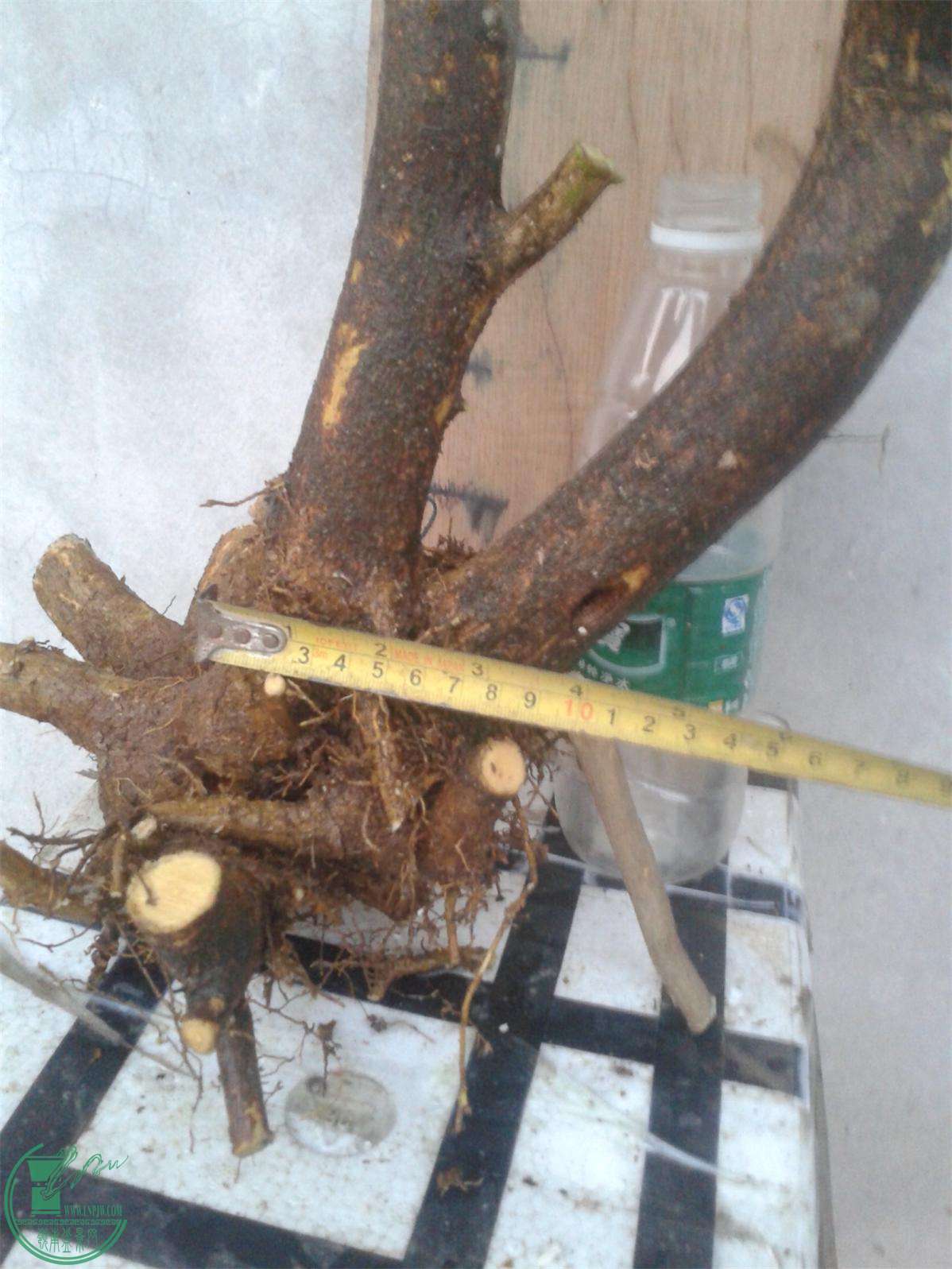 20160228_183955.jpg