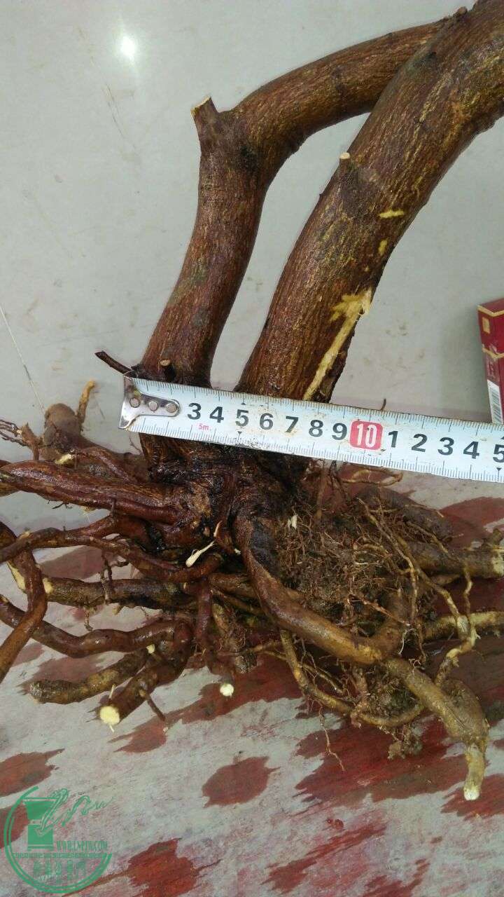 QQͼƬ20160229190715.jpg