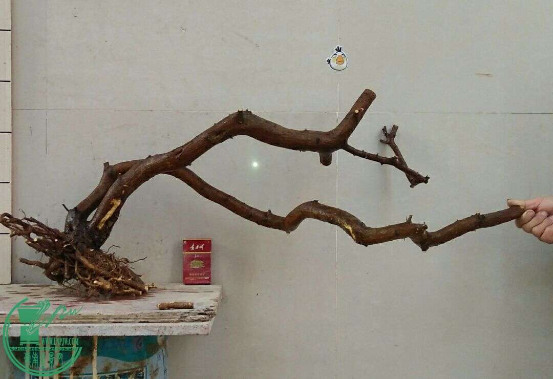 QQͼƬ20160229190632.jpg