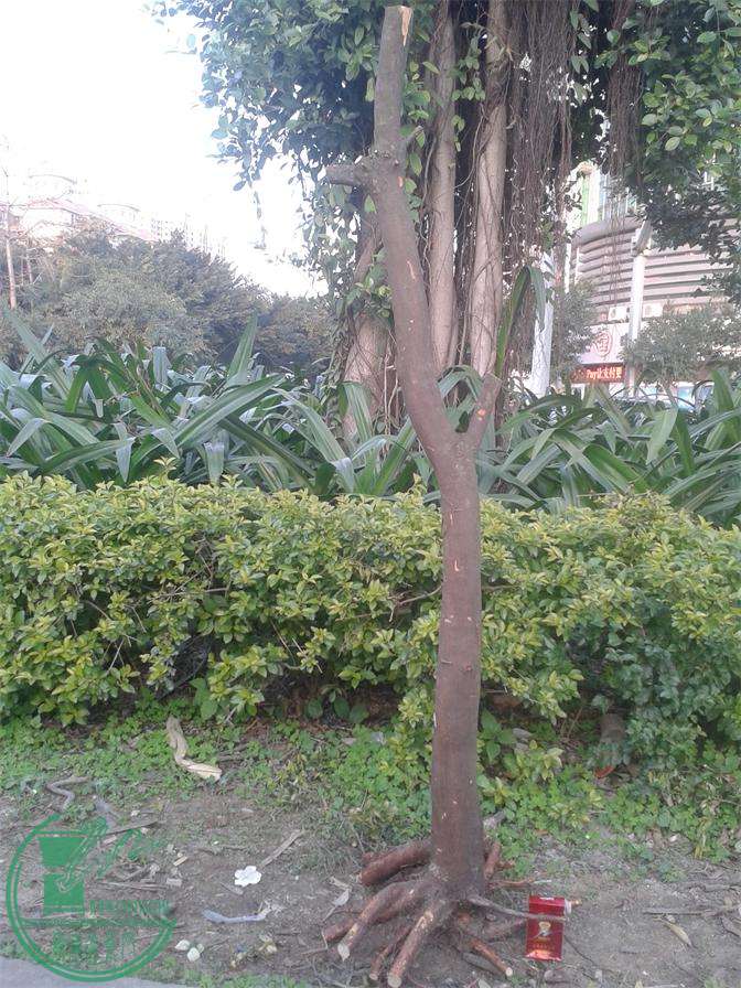 20160229_180409.jpg