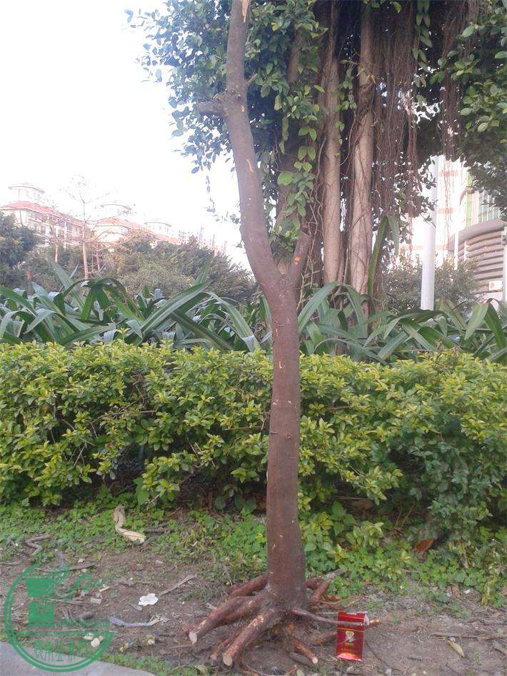 20160229_180420.jpg