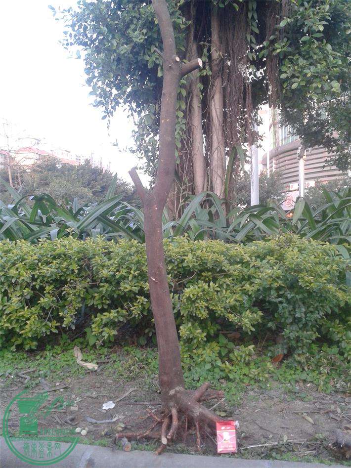 20160229_180451.jpg