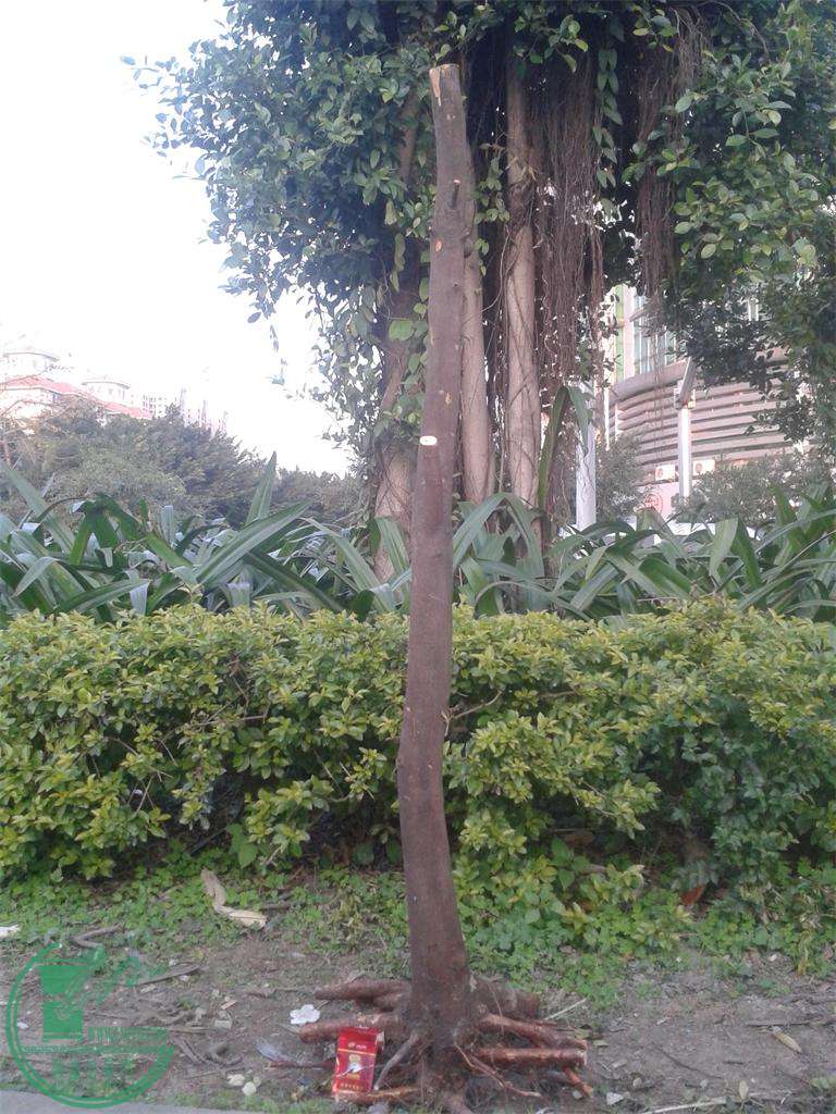 20160229_180532.jpg