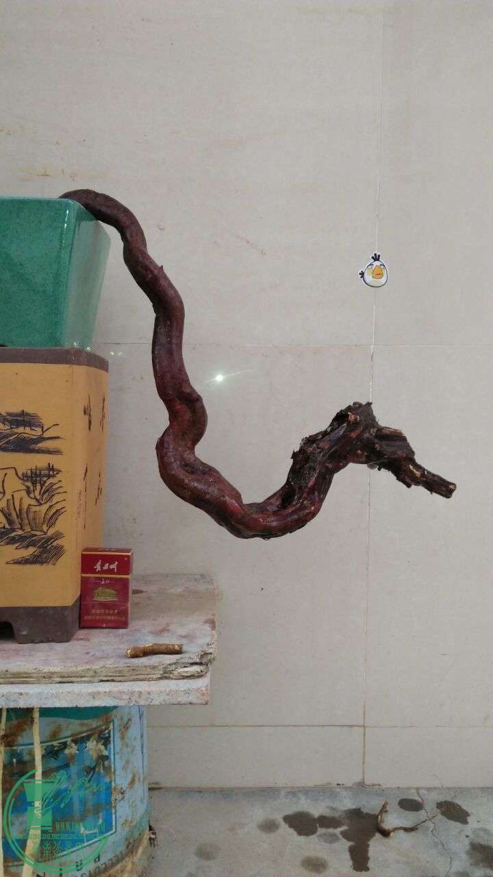 QQͼƬ20160229190707.jpg