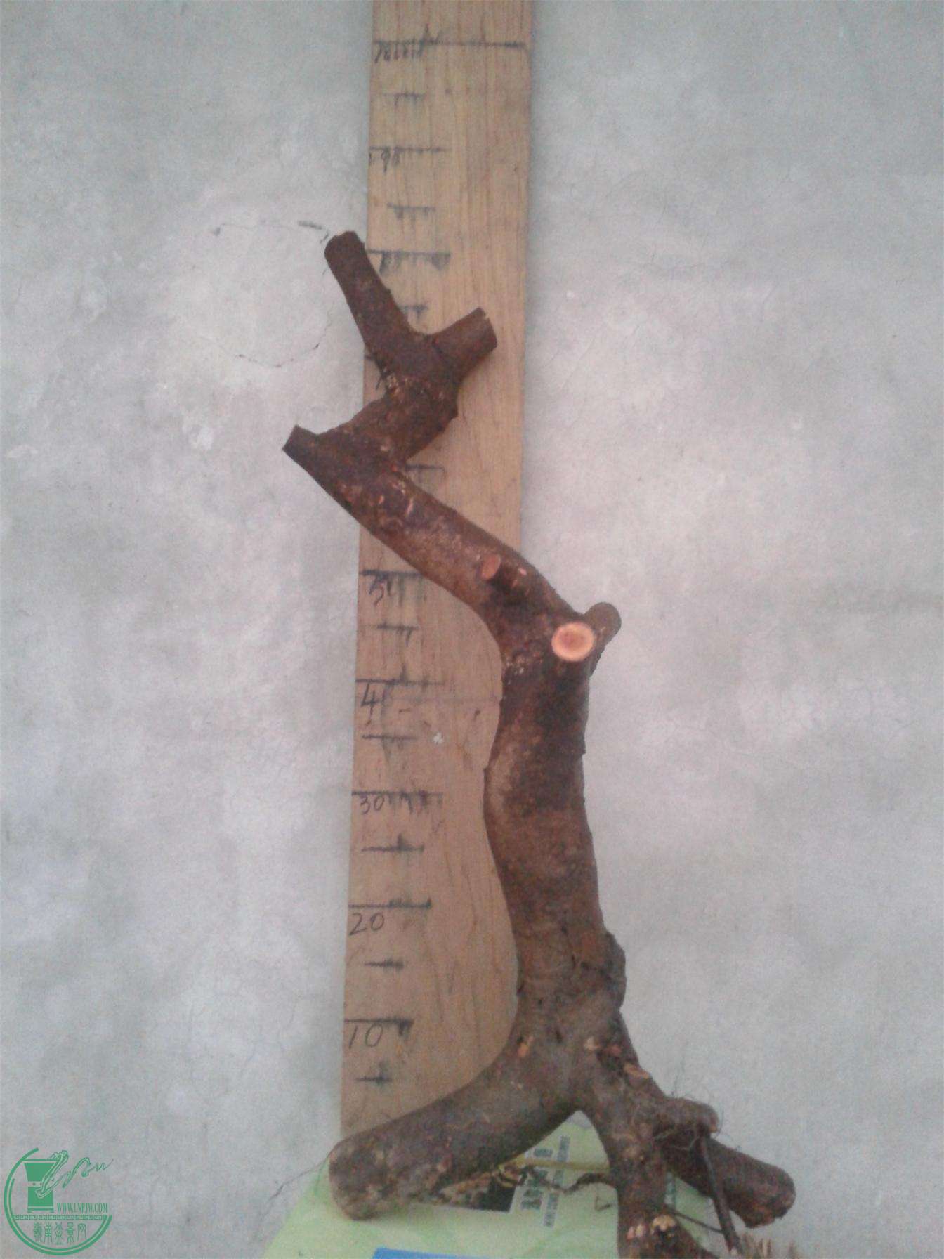 20160229_184433.jpg
