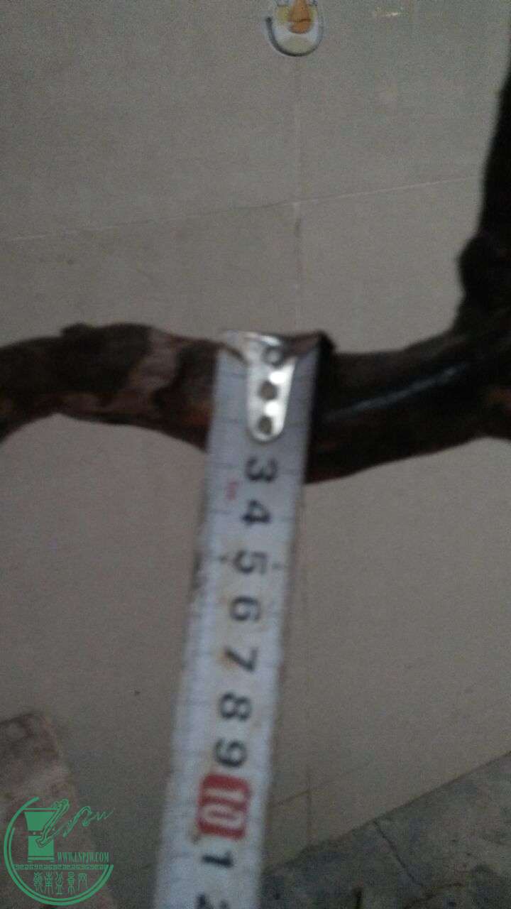 QQͼƬ20160229190731.jpg