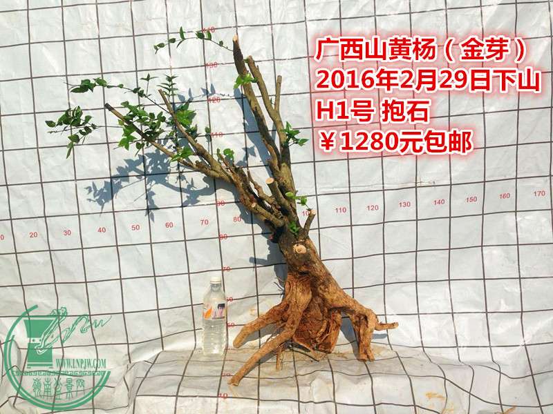 QQͼƬ20160229195633_.jpg