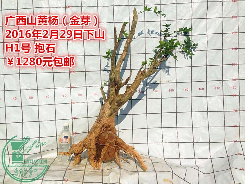 QQͼƬ20160229195637_.jpg