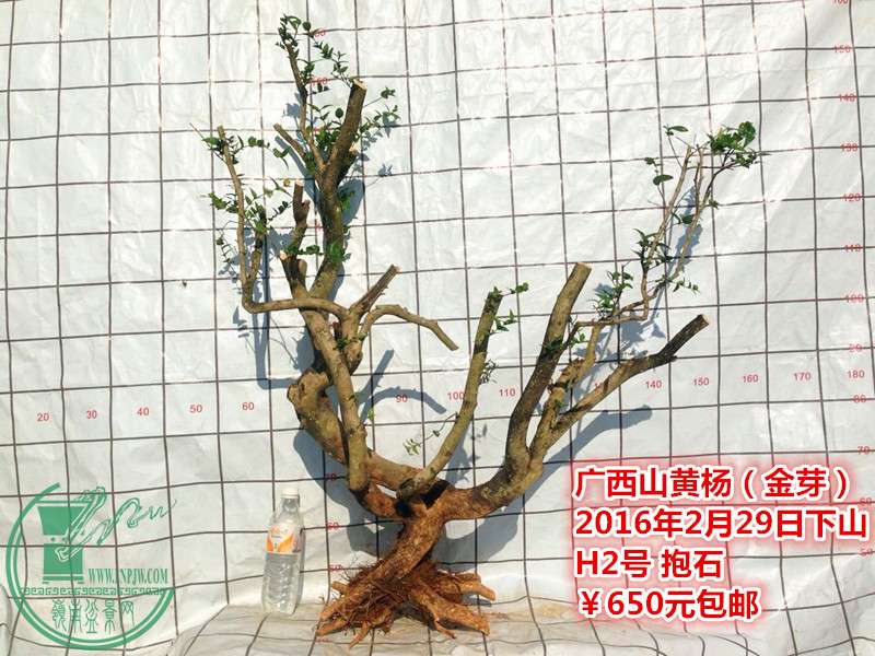 QQͼƬ20160229195640_.jpg