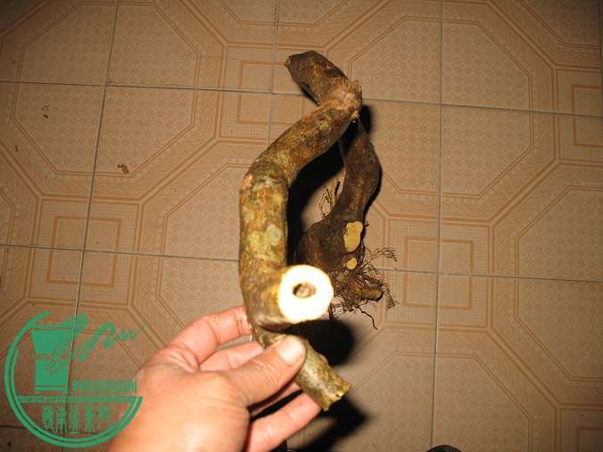010.JPG